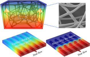 Self-assembled nest-like BN skeletons enable polymer composites with high thermal management capacity