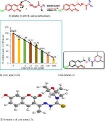 Synthesis, characterization, anticancer activity, molecular docking and DFT calculation of 3-acetylcoumarin thiosemicarbazones and Schiff’s bases