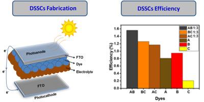 Enhanced photovoltaic efficiency in dye-sensitized solar cells with natural co-sensitizers from Annona squamosa, Malus domestica and Musa fruits