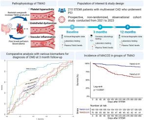 The association between trimethylamine N-oxide levels and coronary microvascular dysfunction and prognosis in patients with ST-elevation myocardial infarction