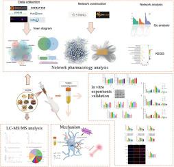 Yiqi Huoxue Tongluo formula-containing serum attenuates high glucose-induced injury in microglia via MAPK pathways: Network pharmacology-based analysis and biological validation