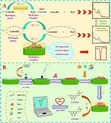 Electrochemical biosensor based on functional nanomaterials and horseradish peroxidase for the determination of luteolin in peanut shell, honeysuckle and perilla