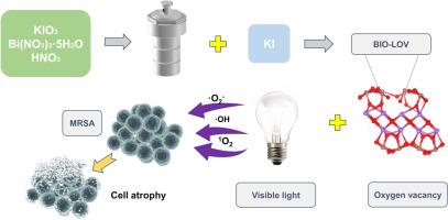 The exploitation of local electric field generated by oxygen vacancies on BiOIO3 nano-antibacterial agents for enhanced photocatalytic sterilisation