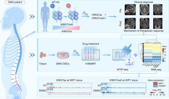 HiTIP-seq profiles epigenomic reprogramming of patient-derived diffuse midline glioma stem cells to epigenetic therapy