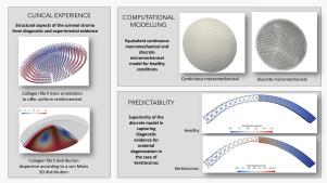 Continuum versus micromechanical modeling of corneal biomechanics