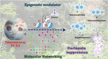 DMSO suppresses duclauxin biosynthetic pathway in Talaromyces sp. (strain IQ-313) and untaps terpenoids, polyketides and meroterpenoids biosynthesis