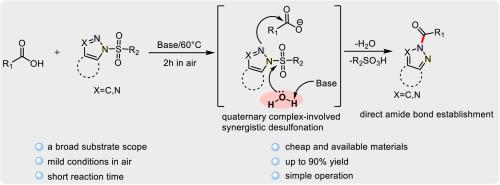 Desulfonation-associated direct amide bond formation between N-sulfonyl-1,2,3-triazoles with carboxylic acids