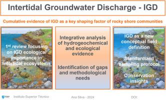 Standing at water edges: Ecohydrological interactions between coastal groundwater discharge and intertidal community dynamics