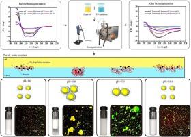 pH-induced interface protein structure changes to adjust the stability of tilapia protein isolate emulsion prepared by high-pressure homogenization