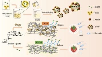 Functionalized sodium alginate composite films based on double-encapsulated essential oil of wampee nanoparticles: a green preservation material