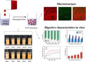 Buckwheat protein as macromolecular emulsifier to stabilize antarctic krill oil-loaded emulsion: Study on physicochemical properties, microstructure, and functional properties