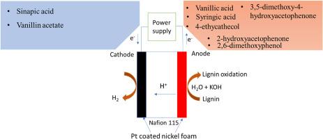 Electrocatalytic lignin oxidation for hydrogen and fine chemical co-production using platinized nickel foam in a 3D printed reactor