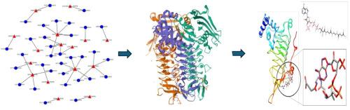 Lysine metabolism pathway as a target for drug repurposing: In silico approach against carbapenem-resistant Klebsiella pneumoniae