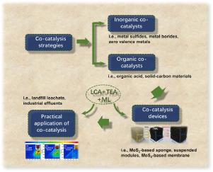 Co-catalysis strategy for low-oxidant-consumption Fenton-like chemistry: From theoretical understandings to practical applications and future guiding strategies