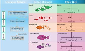 Meta-analysis of the effects of microplastic on fish: Insights into growth, survival, reproduction, oxidative stress, and gut microbiota diversity