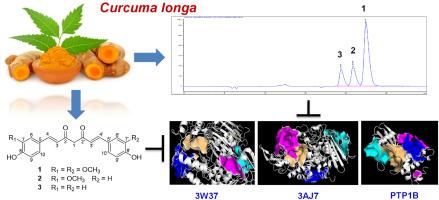 Identification of natural curcumins as potential dual inhibitors of PTP1B and α-glucosidase through experimental and computational study