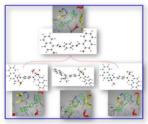 Fabrication, structural, DFT, biological and molecular docking studies of Fe(III), Ni(II), and Cu(II) complexes based on Schiff-base derived from benzene-1,4-diamine and 2-hydroxy-1-naphthaldehyde