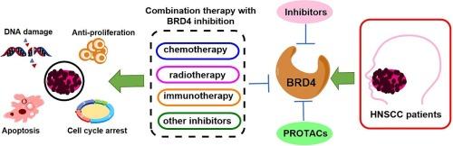 Research progress of BRD4 in head and neck squamous cell carcinoma: Therapeutic application of novel strategies and mechanisms