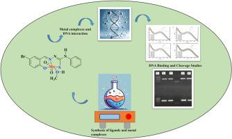 Thiosemicarbazone-based Dioxomolybdenum (VI) complexes as inorganic nucleases