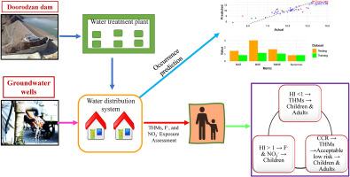 Trihalomethanes in chlorinated drinking water: Seasonal variations and health risk assessment in southern Iran