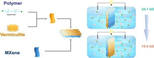 Different hydrophilic bilayer membranes for efficient osmotic energy harvesting with high-concentration exfoliation