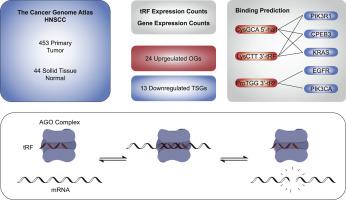 Assessing the diagnostic utility of tRNA-derived fragments as biomarkers of head and neck cancer