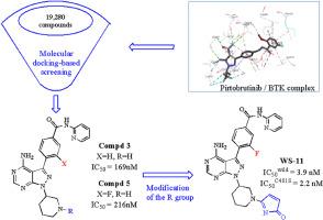 Discovery of new non-covalent reversible BTK inhibitors: Synthesis, in silico studies, and in vitro evaluations