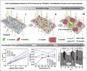 Cold crystallization behavior of poly(lactic acid) induced by poly(ethylene glycol)-grafted graphene oxide: Crystallization kinetics and polymorphism