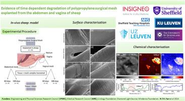 Evidence of time dependent degradation of polypropylene surgical mesh explanted from the abdomen and vagina of sheep