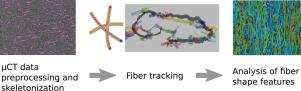 A skeletonization-based approach for individual fiber separation in tomography images of biocomposites