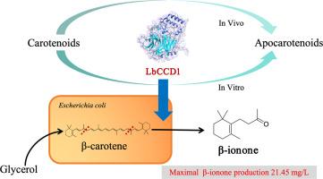 Molecular cloning, expression, and biochemical characterization of carotenoid cleavage dioxygenase 1 (LbCCD1) from Lycium barbarum