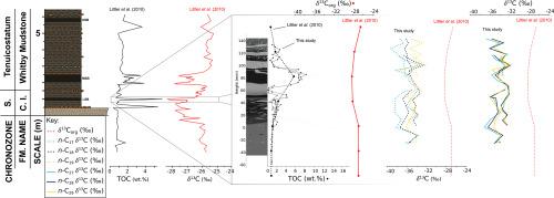 Global carbon cycle disruption during the latest Pliensbachian (Lower Jurassic) evidenced by simultaneous isotopic depletion in marine and terrestrial carbon pools