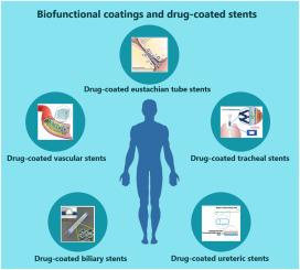 Biofunctional coatings and drug-coated stents for restenosis therapy