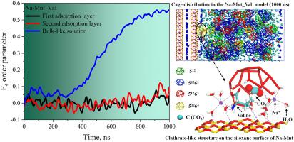 Molecular insights into the formation of carbon dioxide hydrates on the external surface of sodium montmorillonite in the presence of various types of organic matters