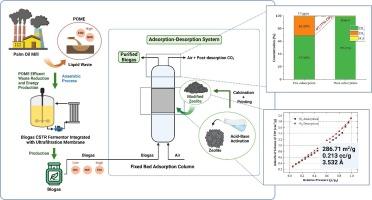 Synergistic integration of zeolite engineering and fixed-bed column design for enhanced biogas upgrading: Adsorbent synthesis, CO2/CH4 separation kinetics, and regeneration assessment