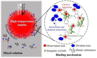 Humic substances and inorganic ions synergistically precipitate at the gas–liquid interface in a simulation experiment of direct-contact heat and mass transfer processes