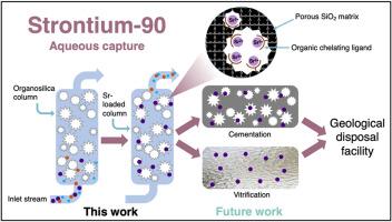 Adsorption of strontium from aqueous solution using ethyl butyl phosphonate (EBP) silica