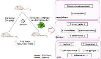 Protective effects of menthol against olanzapine-induced metabolic alterations in female mice