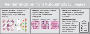 Re-identification from histopathology images