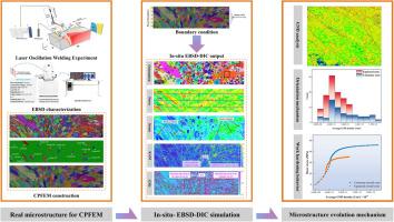 In-situ EBSD-DIC simulation of microstructure evolution of aluminum alloy welds