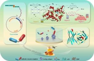 Dual-functional probe-based multi-signal immunosensor platform for tropane alkaloids: Verification and evaluation