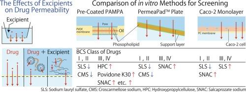 Comparison of in vitro screening methods for evaluating the effects of pharmaceutical excipients on membrane permeability