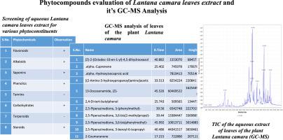 Phytocompound profiling and GC-MS analysis of Lantana camara leaf extract