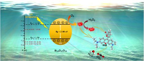 Photocatalytic degradation of Rhodamine B dye over oxygen-rich bismuth oxychloride Bi24O31Cl10 photocatalyst under UV and Visible light irradiation: Pathways and mechanism