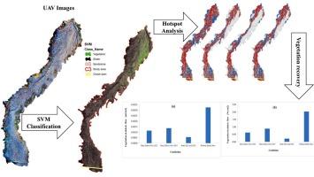 Assessing the impact of sediment characteristics on vegetation recovery in debris flow fans: A case study of the Ohya Region, Japan