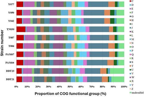 Biodegradation of DDT using multi-species mixtures: From genome-mining prediction to practical assessment