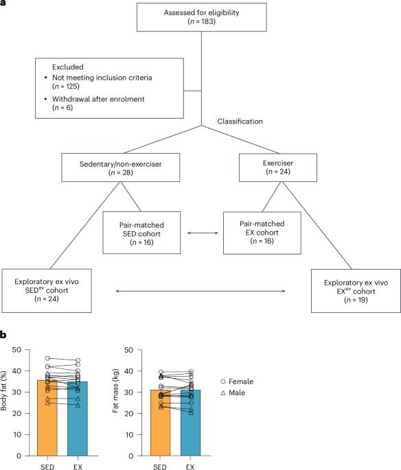 Years of endurance exercise training remodel abdominal subcutaneous adipose tissue in adults with overweight or obesity