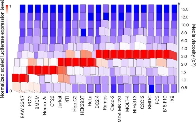 Tuning extracellular fluid viscosity to enhance transfection efficiency