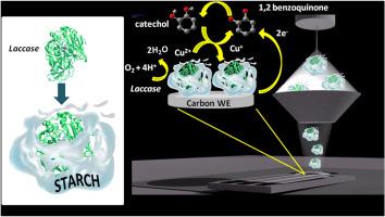 Electrospray deposition of starch-containing laccase: A green technique for low-cost and eco-friendly biosensors