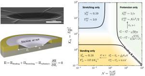 Regimes in the axisymmetric stiction of thin elastic plates